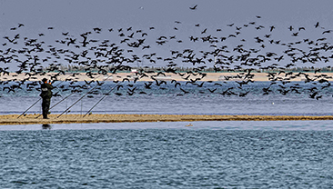 “醉”美兵团网络摄影展（十二）