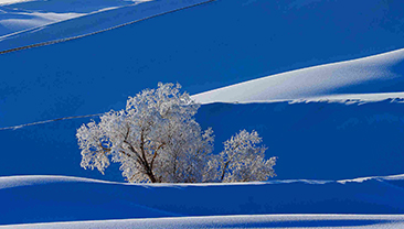 “醉”美兵团网络摄影展（二十六）