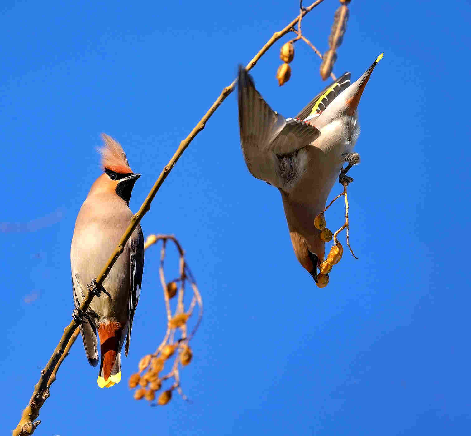 “醉”美兵团网络摄影展（二十七）