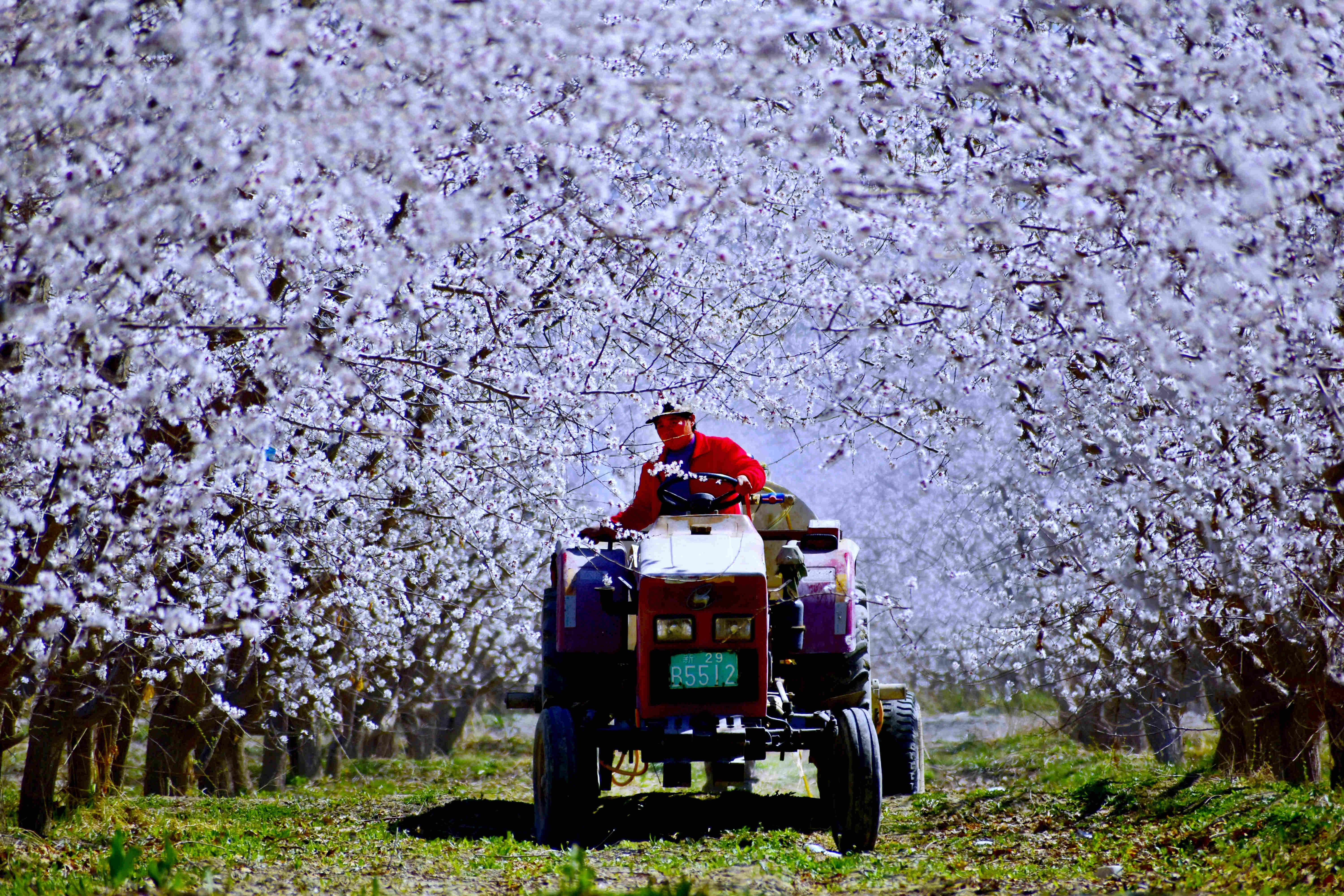 “醉”美兵团网络摄影展（二十八）