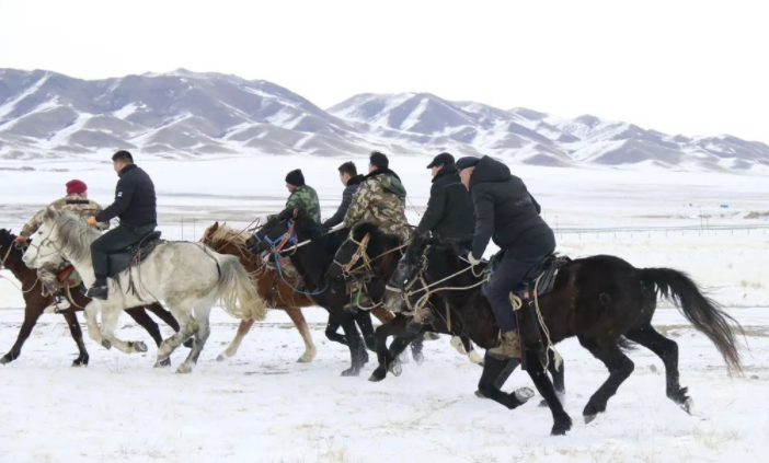 赛马、越野、滑雪……这些活动无限精彩