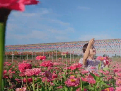 “百湖多彩 向阳花开”优秀作品展播 | 凤栖屯南 金彩龙梁 鸟语花香