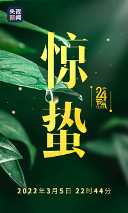 今日惊蛰