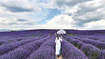 向着诗和远方出发