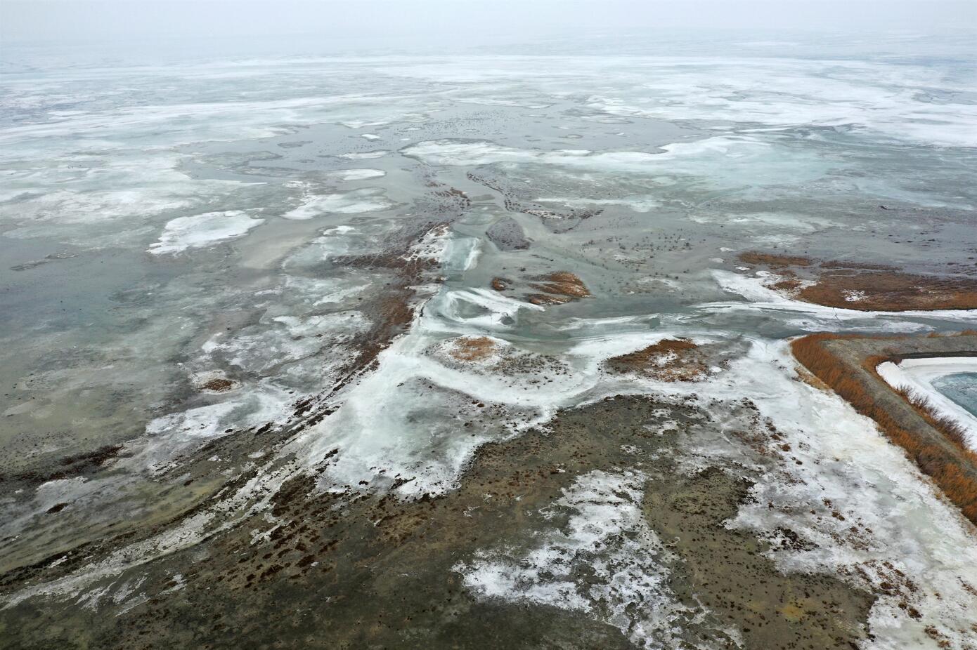 艾比湖湿地的冰雪开始逐渐消融。 胡维斌 摄