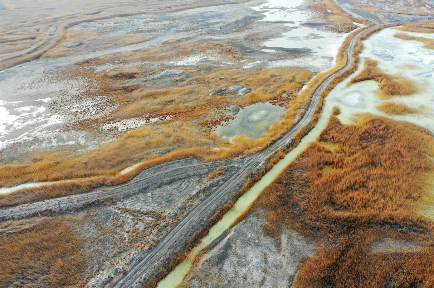 冰雪消融后的艾比湖湿地 胡维斌 摄