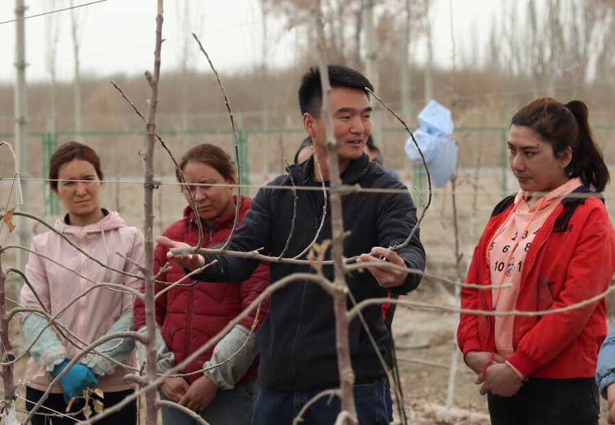 新疆农发集团设施农业有限公司总经理谢富才（中）把农技课堂搬进田间地头。