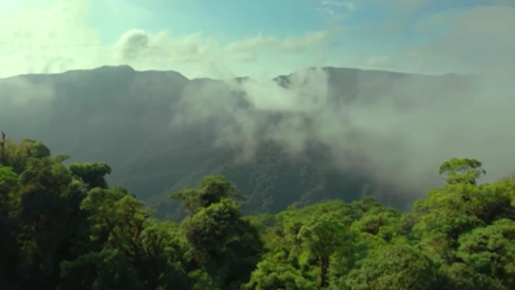 公益广告：《逆行冲锋》