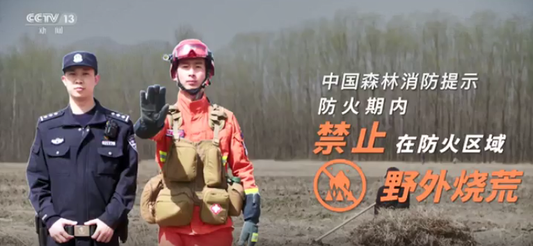 公益广告：《严管星星火 守好片片林》