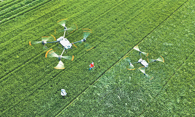 新时代画卷 | 绘就绿意盎然的春耕图景