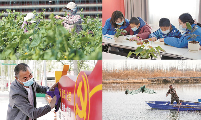 兵团：唱响乡村振兴好声音