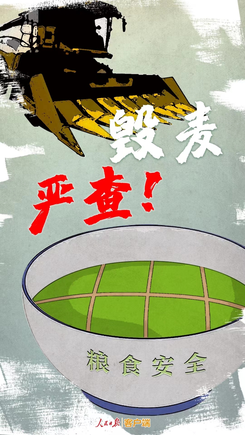 捍卫粮食安全，对毁麦现象说不