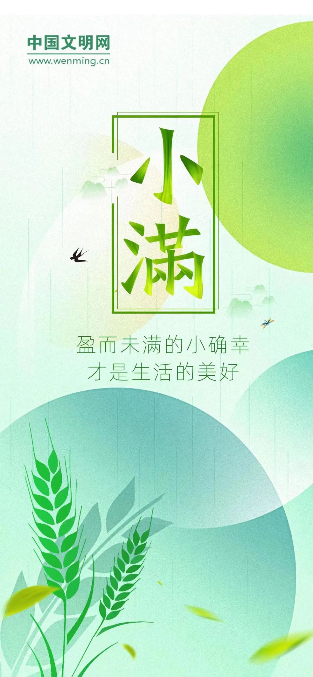 今日小满 | 万物向阳处 小得盈满时