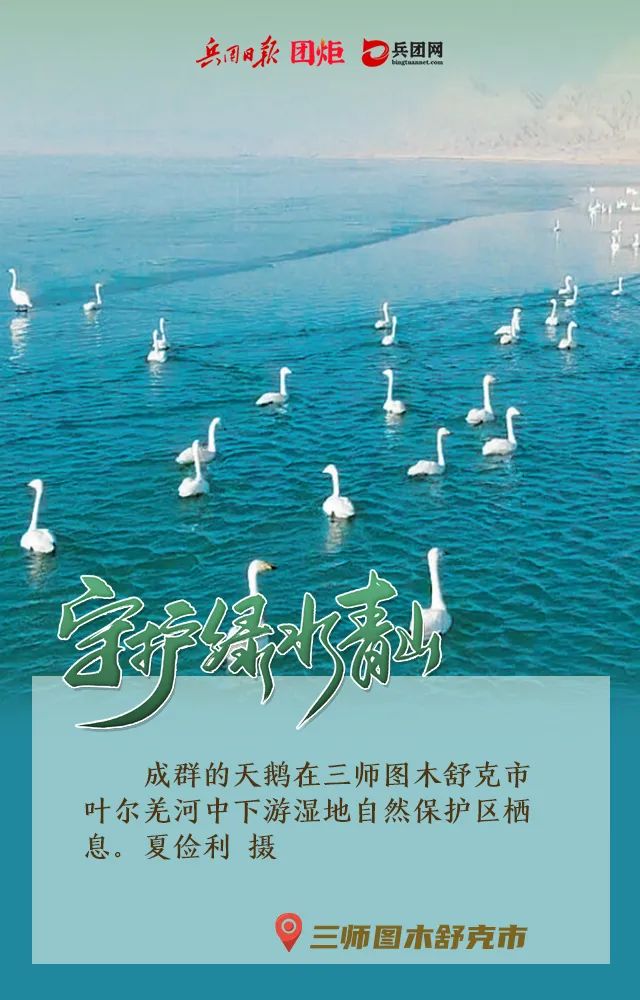 一组海报看兵团生态“高颜值”