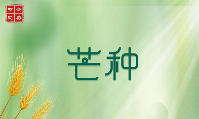 二十四节气 | 6日零时26分芒种：仲夏至此始 处处菱歌长