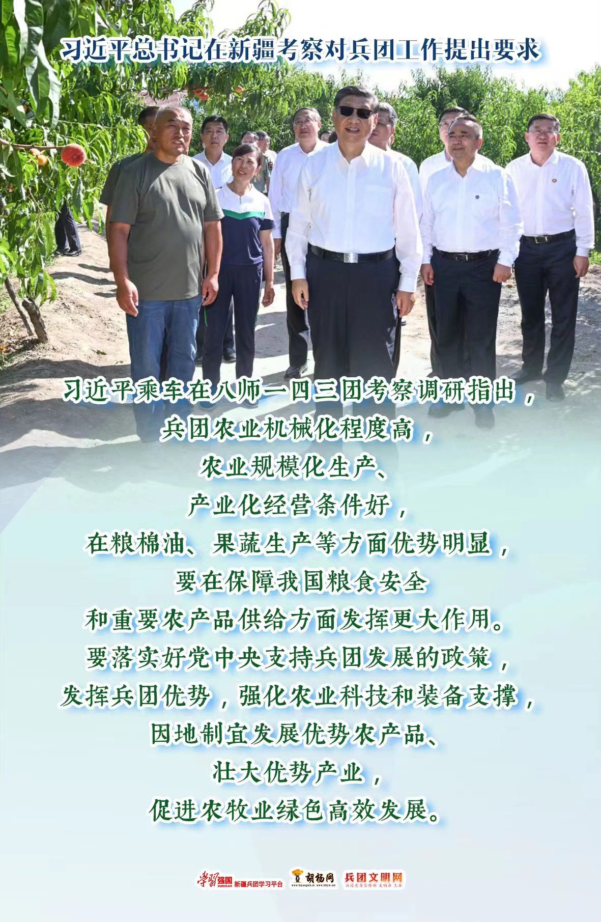 胡杨海报 | 促进农牧业绿色高效发展