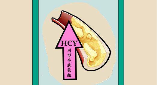 这个指标高可能比“三高”还危险