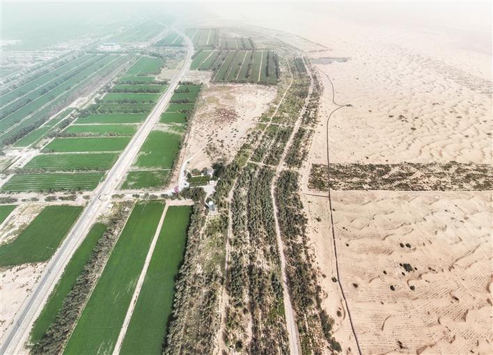 兵团积极探索发展荒漠经济——从“防沙治沙”转为“治沙用沙”