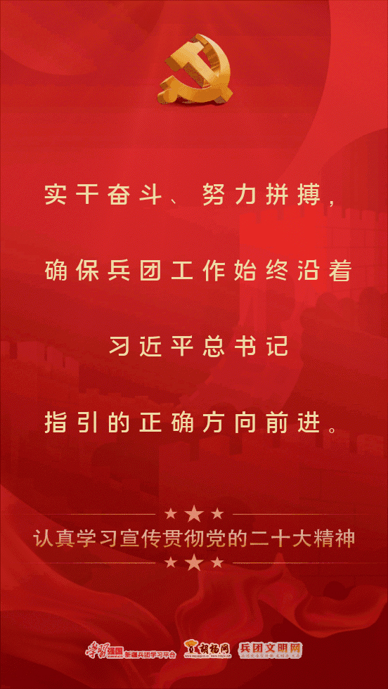 胡杨原创海报 | 认真学习宣传贯彻二十大精神（六）