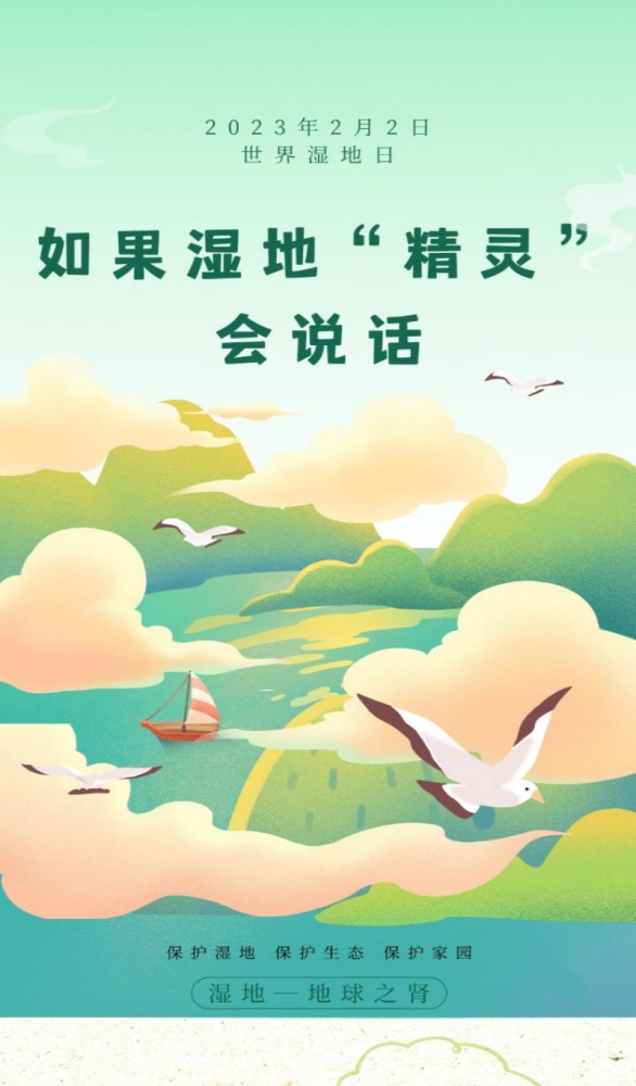 如果湿地“精灵”会说话