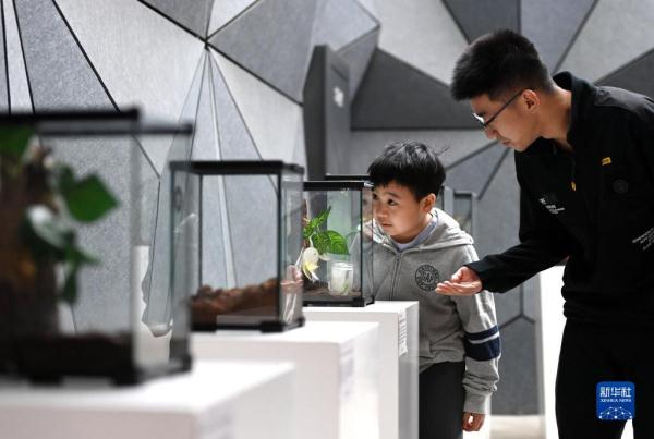 种下一片绿——废弃矿坑变身“生态课堂”