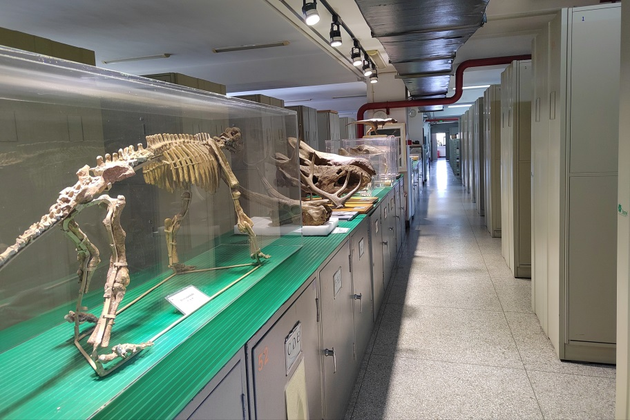 中科院古脊椎所标本馆成为全球自然藏品的重要组成部分