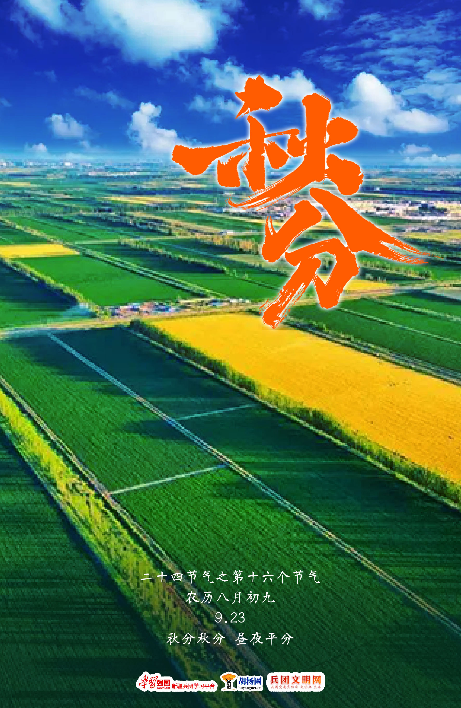 原创海报丨秋分