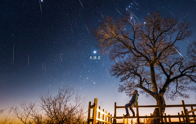 冬夜，一起去看恒星中“最亮的仔