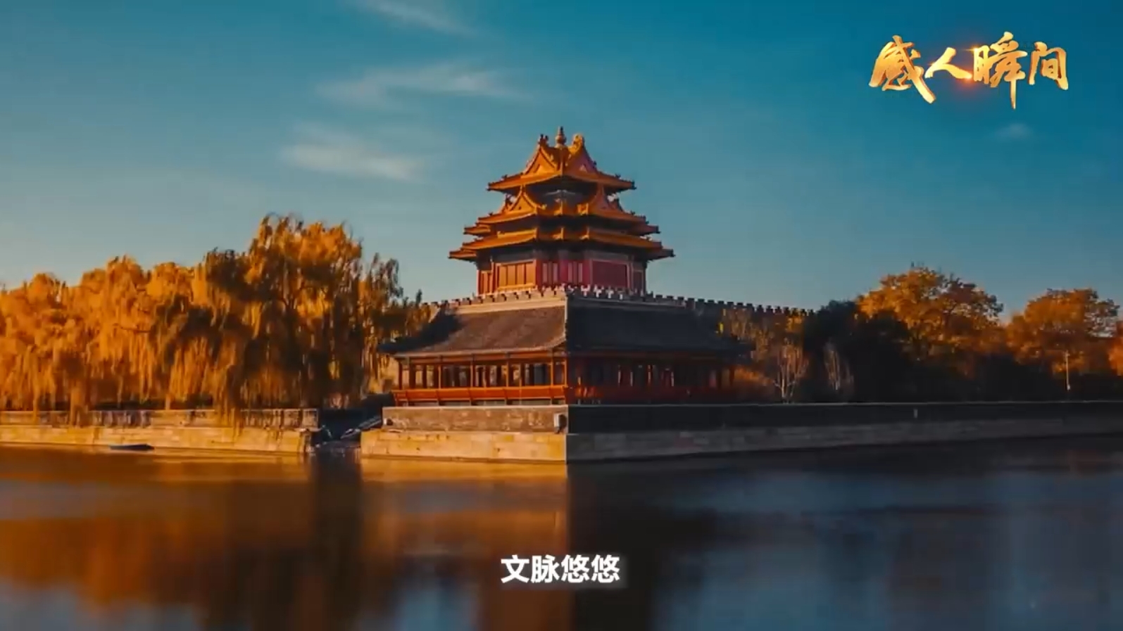 微视频丨《我爱你中国》