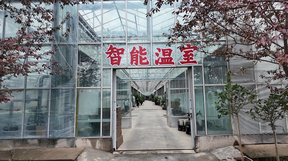 十二师农业科学研究所智能温室.jpg