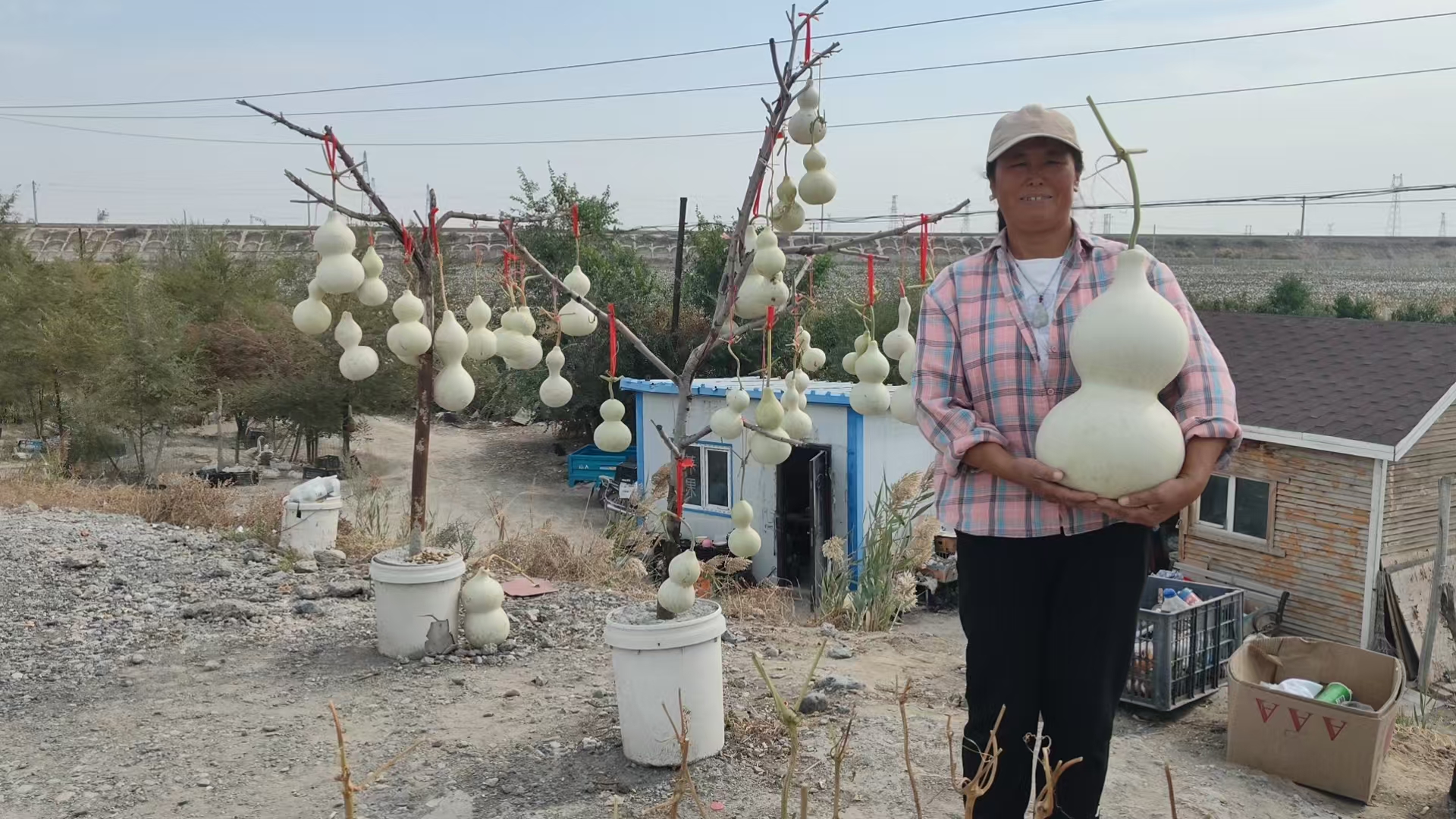 种植户杨建国的妻子在路口售卖葫芦。梁艳摄.jpg