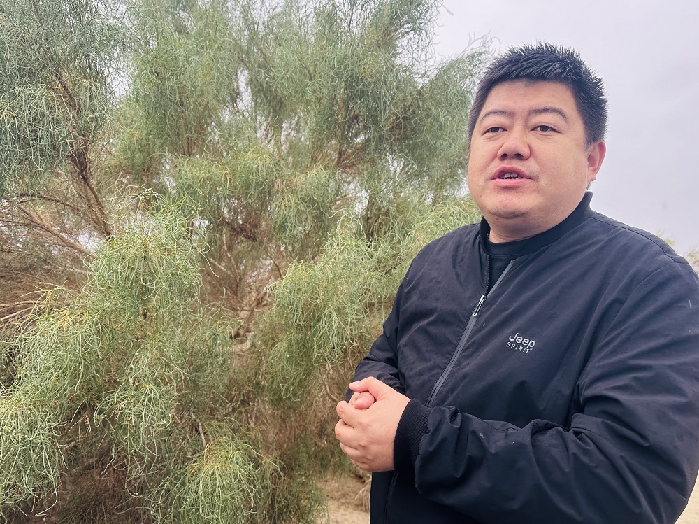 朱骏亮和同事在十三师黄田农场黄龙岗沙区种植了200多亩梭梭林，成活率同样喜人。李萍 摄.jpg