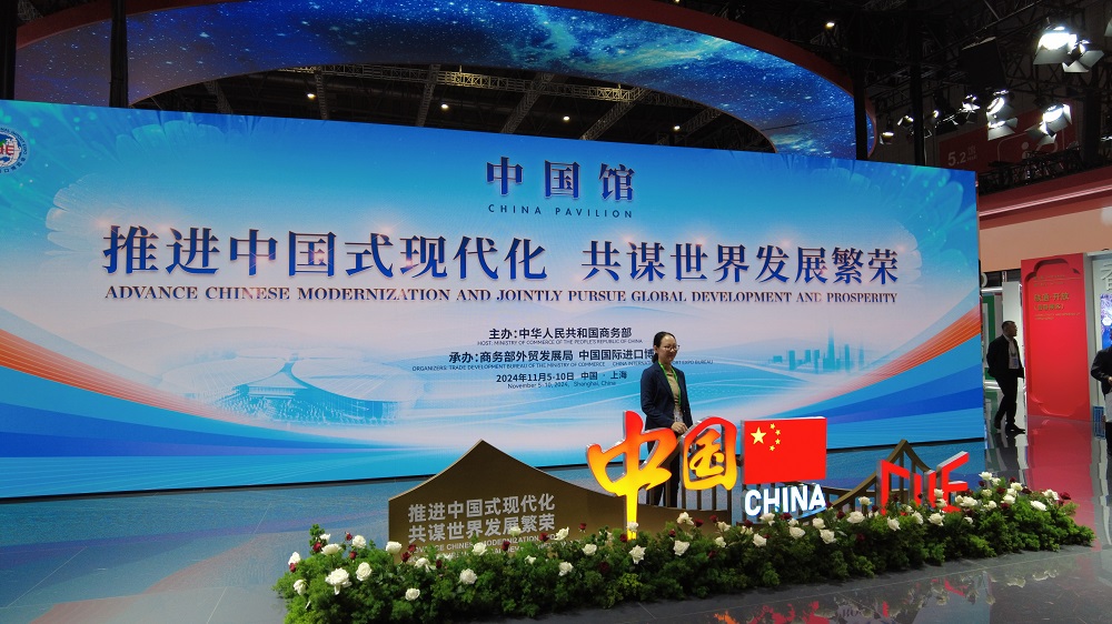 参展观众在中国馆拍照打卡。胡杨网记者 李雨浪 摄.jpg
