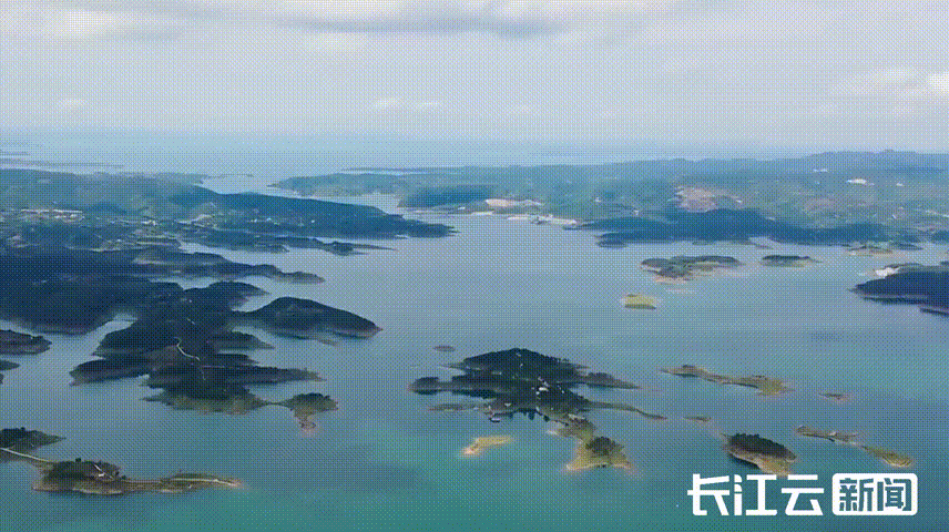 tstmp_20241226174249.gif