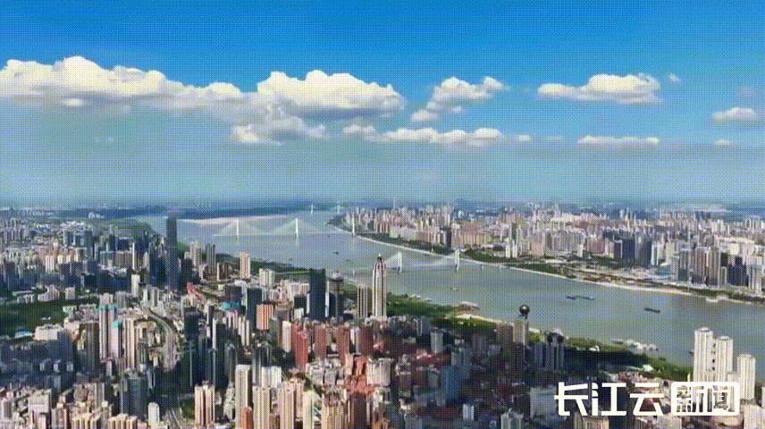 tstmp_20241226174308.gif