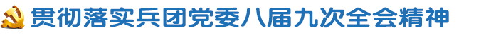 贯彻落实兵团党委八届九次全会精神