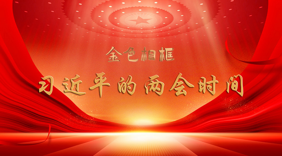 金色相框丨习近平的两会时间