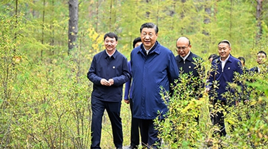 跟着总书记足迹“瞰”林海