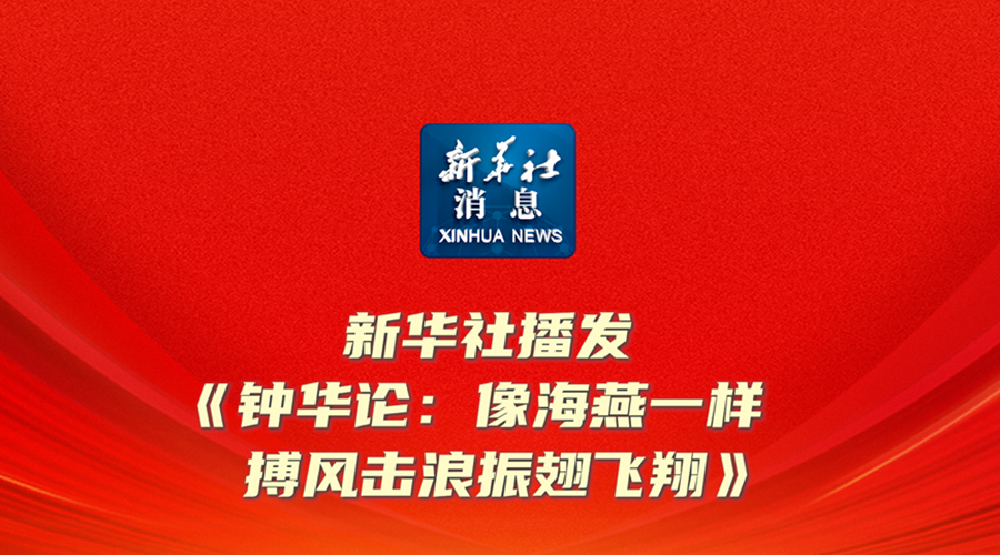 新华社播发《钟华论：像海燕一样搏风击浪振翅飞翔》