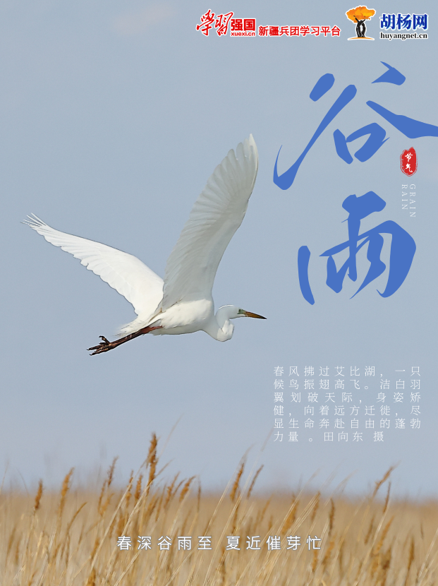 ​海报丨春深谷雨至 夏近催芽忙