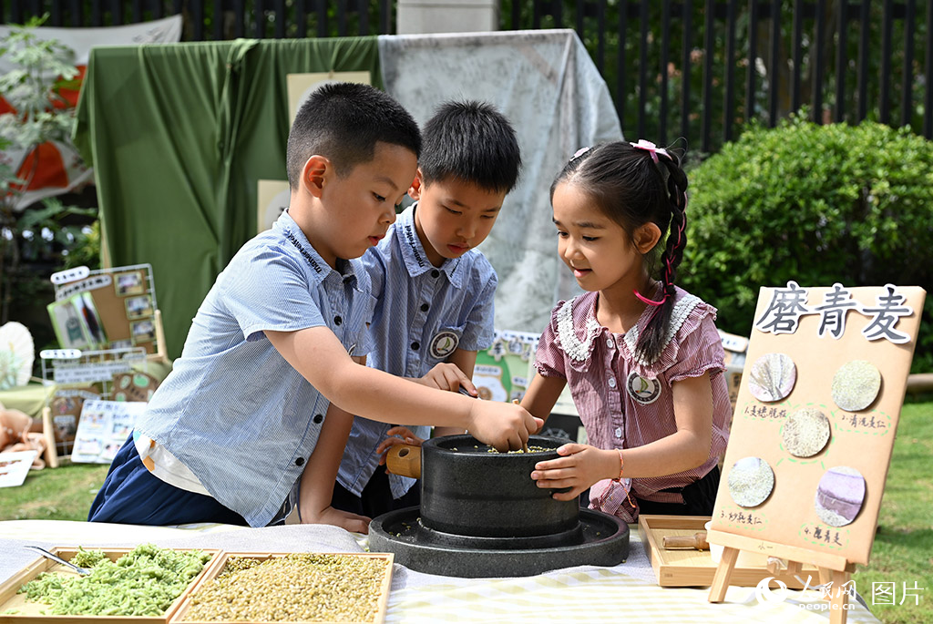 2025年5月30日，在河南省郑州市二七区第一幼儿园连云路园区，小朋友们在体验磨青麦，感悟农耕文明。人民网记者 王玉兴摄