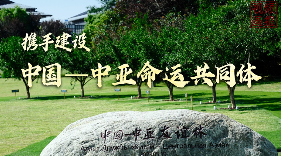 视频画报丨携手建设中国－中亚命运共同体