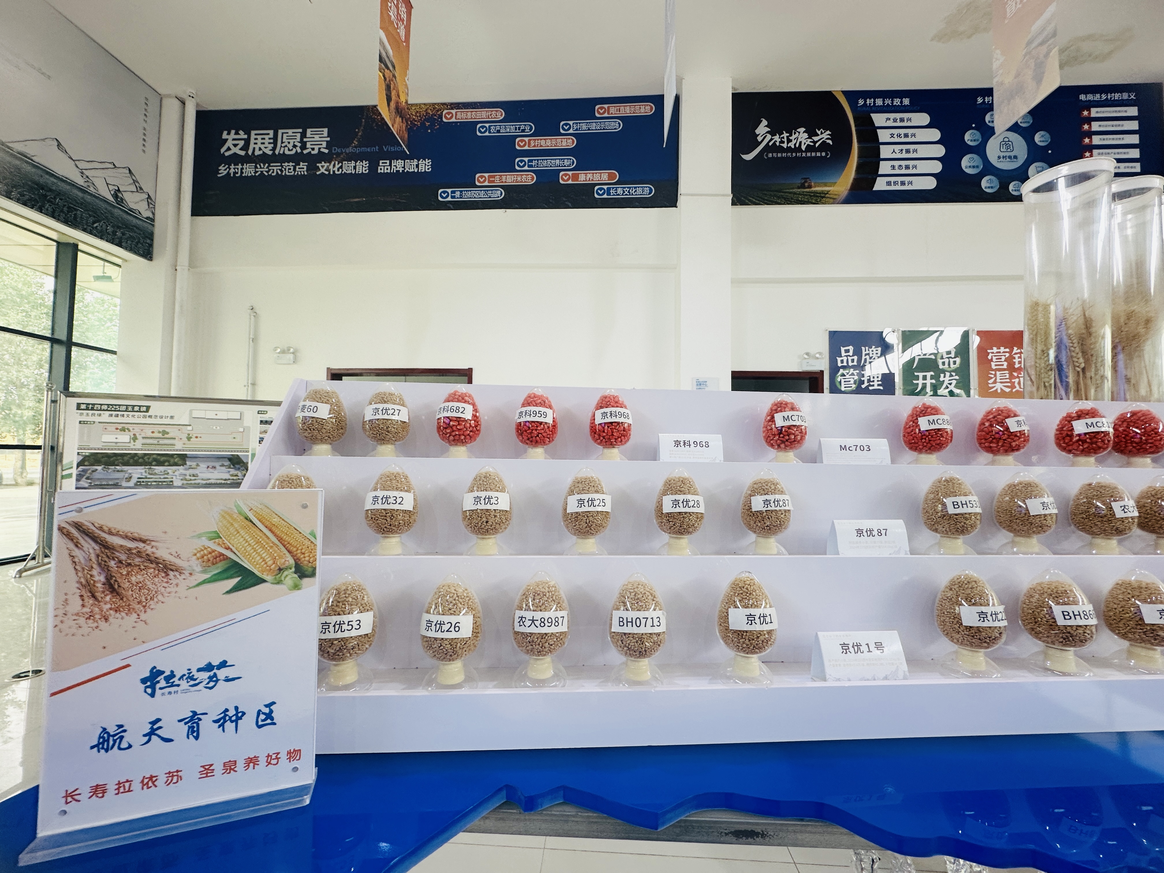 二二五团区域公共品牌运营中心的航天育种区展示台。李萍 摄.jpg