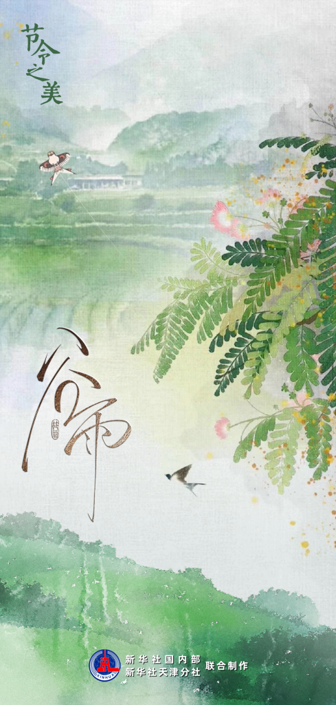 节令之美丨20日3时56分谷雨：牡丹吐蕊花信止，一壶新茗泡松萝