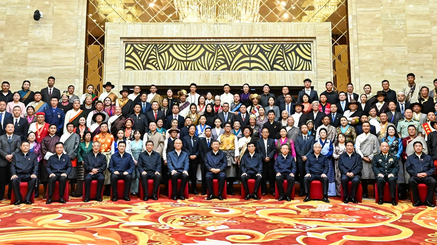 习近平接见西藏各族各界代表