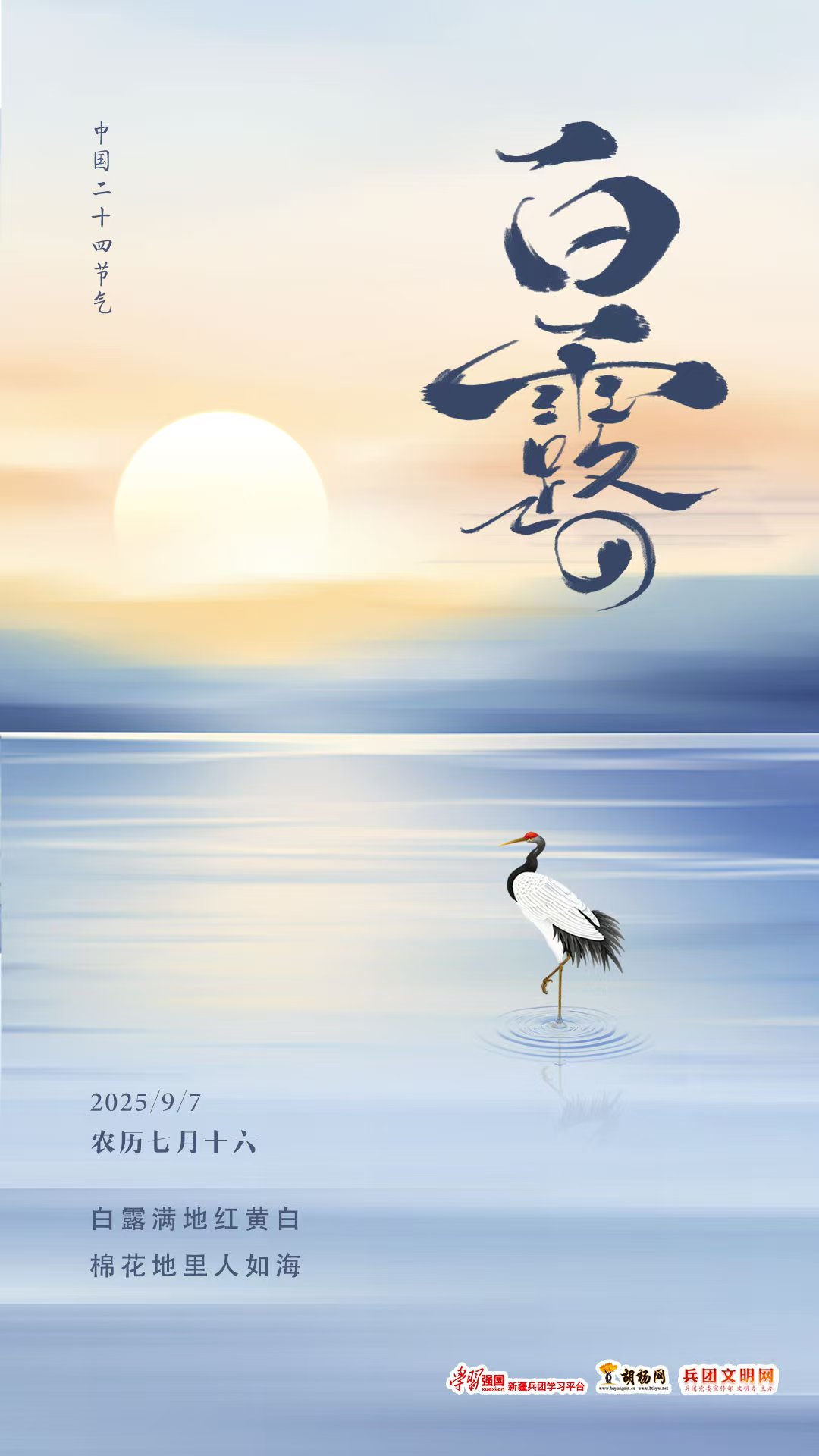 白露