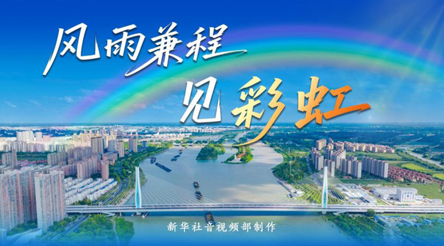 创意视频丨风雨兼程见彩虹