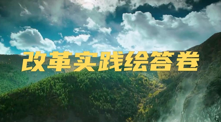 微视频丨改革实践绘答卷