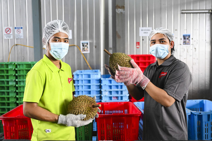 cf4eb788e2c53a015f8238373931ea86_202511012984272eb9f54b5c9a6cb27830f08209_202511011c3a82f47c534d43ad8135275aed6a4f.jpeg cf4eb788e2c53a015f8238373931ea86_202511012984272eb9f54b5c9a6cb27830f08209_202511011c3a82f47c534d43ad8135275aed6a4f.jpeg