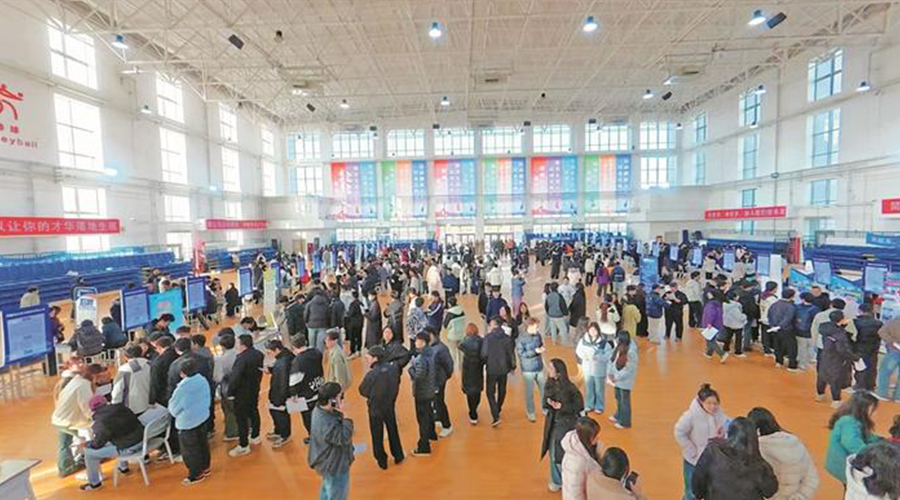 兵团各师市：织密就业“服务网” 精准发力惠民生